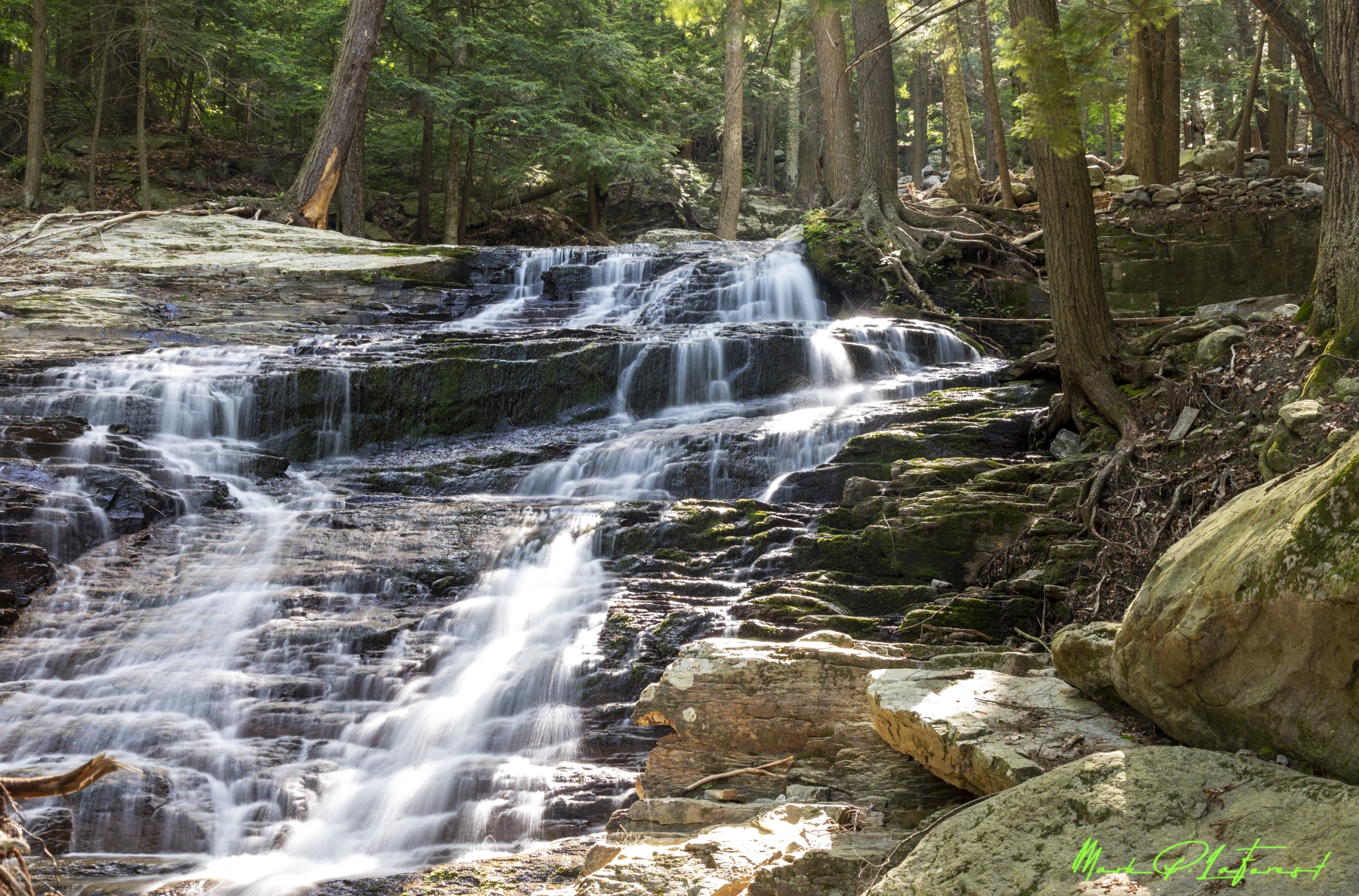 /gallery/north_america/USA/Vermont/middlebury/Abbey Pond Trail 2024-006_med.jpg